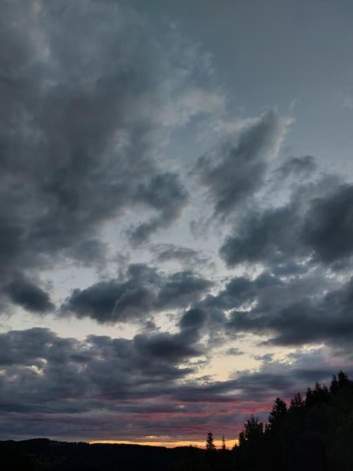 Panorama Sucha Gora ,Lesny Domek Skawica  Εξωτερικό φωτογραφία